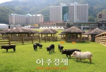 오션월드 장마 기간 할인쿠폰 증정 이벤트