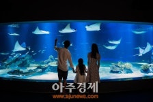 63씨월드, 30년만에 한화 아쿠아플라넷 63으로 재탄생