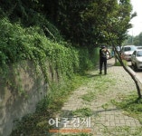 안산시 본오2동 이면도로변 잡초제거