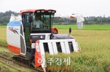보령시, 추석 명절용 햅쌀 첫 수확