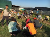 김해시, 도시농부 키운다!