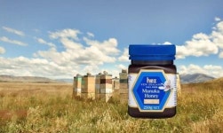 엠큐네트웍스, 마누카 꿀 전문 ‘허니뉴질랜드’ 론칭