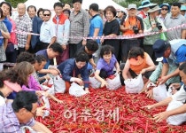 ‘辛나는 건강여행, 가자! 청양으로’ 제17회 청양고추·구기자축제 대성황
