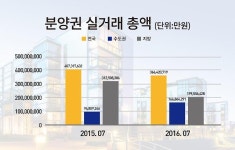 강남 데시앙 포레 웃돈만 5억…분양권 거래도 수도권·지방 양극화