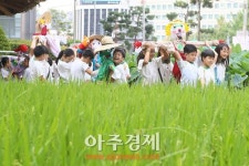 [아주동영상] 농업박물관, 허수아비 만들기 체험행사