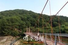 休~…심항산 자락 6.2km서 가을을 접하다