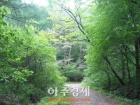 休~…심항산 자락 6.2km서 가을을 접하다