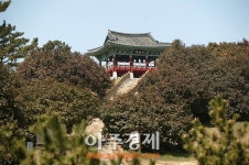 한가위 연휴는 문화 · 예술 · 관광이 어우러지는 충남 서천에서 즐기세요~~