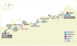 제주, 원도심 산지천 옛 멋이 살아있어