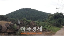 신선이 사는 곳 저지오름…조수 낙천 차귀도