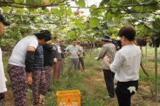 아프리카TV, 9월 맞아 임직원·파트너BJ와 농촌 봉사활동 진행