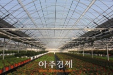 고양시, 농산업 패키지 수출의 새로운 장 연다