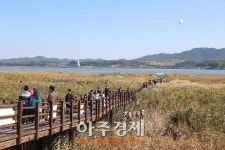 충남 서천군, 2016 신성리 달빛문화 갈대축제 개최