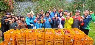 NH농협은행 홍보부, 사과농장 일손돕기 활동 실시