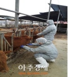 경기도 동물위생시험소 최우수 시험소 선정