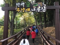 인천 남동구 늘솔길공원 편백숲 무장애 나눔길