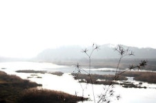 [김경래의 시골편지] 11월의 축복