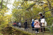 [지역 명소]김해 분성산 생태숲“자연이 주는 혜택과 소중함 배워요!”