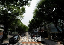 성남시 분당지역 야간 귀갓길 밝아진다