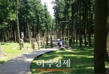 제주시 절물자연휴양림, 입장객 70만명 돌파↑