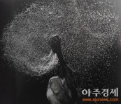 쌍산 김동욱, 제6회 김천직지사 사진전서 대상 등 10여점 입상