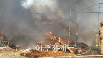 광명소방서 신속한 대응 비닐하우스 화재 진화