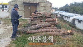 하남시 소나무 재선충병 방제 사업