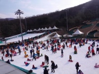 인천대공원 겨울시즌 썰매장 12월 16일 개장