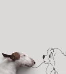 A photographer shows who the real king of his household is