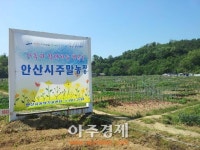 안산시 주말농장(도시농업농장) 조성 분양