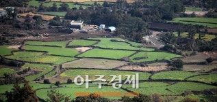 볼거리ㆍ즐길거리ㆍ먹거리 3色의 제주로 살짜기 옵서예~