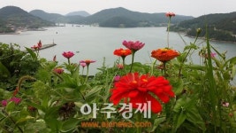 고흥 애도 힐링파크 전남 1호 민간정원…거제 외도처럼 키운다
