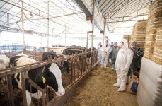 남경필, 수원 젖소사육농가 방문...구제역 예방접종·방역현황 점검