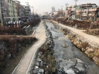 시흥시 신천, 건강한 통합 문화공간으로 거듭나다