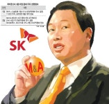 잇따른 성과에 자신감 넘치는 최태원 회장…M&A·사업구조 개편 드라이브