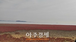 안산시, 해양수산부에 습지보호지역 지정 최종 건의