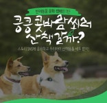 인터파크펫, ‘반려동물 문화 캠페인’ 시동…봄날 산책 에티켓은?