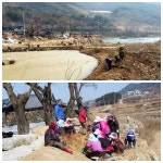 사계절이 아름다운 산청군 철수마을 꽃동산 조성으로 활력