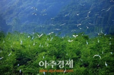 울산 남구 철새 홍보관 등 조성, 경제활성·관광명소 일석이조
