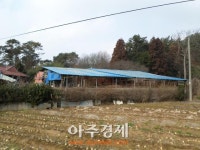 서천축산업협동조합경제사업장 | 서천군, 무허가·미신고 축사 적법화 추진
