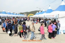 부산 기장군, 제8회 기장미역·다시마 축제 개최