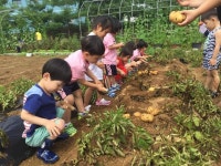 인천 부평구, 도시농부의 첫걸음 텃밭 분양 신청하세요~