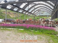파주시, 깨끗하고 아름다운 농장 가꾸기 확대 실시