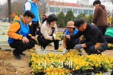 과천시 봄 맞아 곳곳 새 단장 