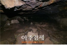 제주 곶자왈 4∙3 아픈 역사 기억공간으로 조성