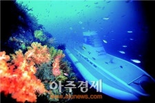서귀포잠수함, 2년 연속 브랜드가치 1위 선정