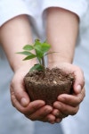 미세먼지의 습격…식음료 업체, 환경보호 CSR 본격 가동