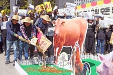 [AJU PHOTO] 자연드림, 모든 축산 Non-GMO 곡물로 키우기 선포식 개최