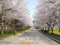 군산시, 도심 속 힐링명소 은파호수공원 환경 정비 총력