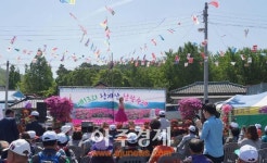 성남시 제14회 청계산 철쭉축제 열린다!